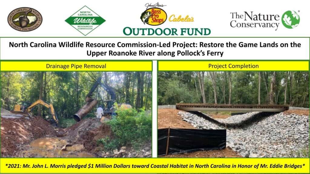 Restoring Game Lands Upper Roanoke River (1)